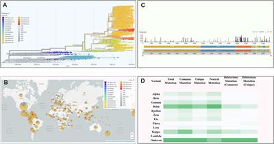 Variant-specific deleterious mutations in the SARS-CoV-2 genome reveal immune responses and potentials for prophylactic vaccine development